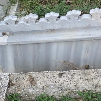 İBB - İstanbul Büyükşehir Belediyesi Mezarlıkların Üzerinde Köpeklerin Yatması