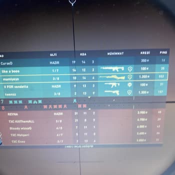 Yavaş Ve Yüksek Pingli TurkNet