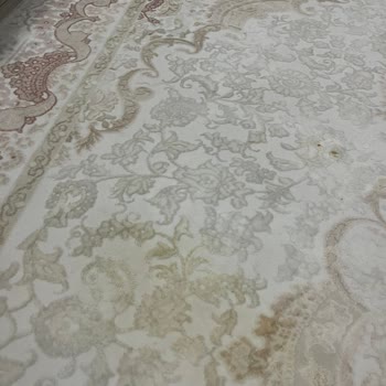 Özkök Temizlik Ev Temizliği Hizmetinde Yaşanan Sorunlar