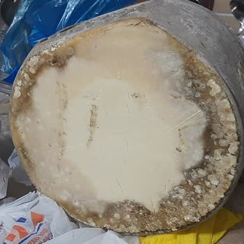 Taşkın Kars Bozuk, Kötü Peynir Gönderiyor!