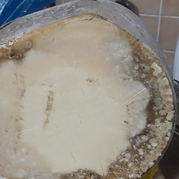 Taşkın Kars Bozuk, Kötü Peynir Gönderiyor!