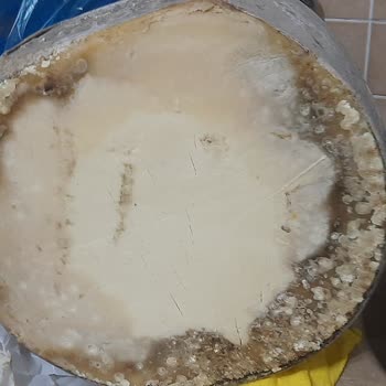 Taşkın Kars Bozuk, Kötü Peynir Gönderiyor!