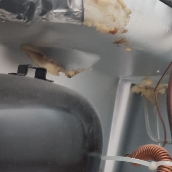 Beko Derin Dondurucu Arızası Firma Sorunu