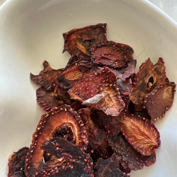 Taze Kuru Quru Kurutulmuş Çilekte Çıkan Güve