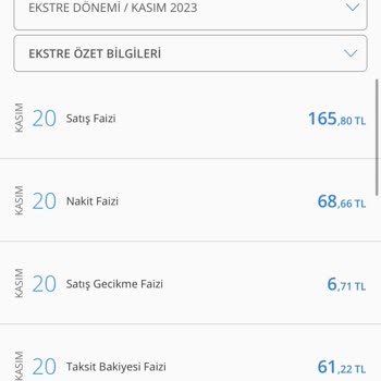 Denizbank Satış Faizi, Nakit Faizi