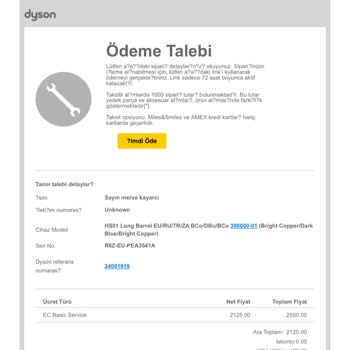Dyson Hizmet Alamadım, Ödemem İade Edilmiyor!