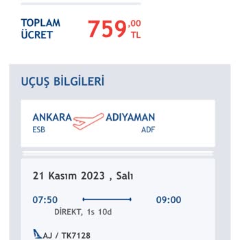 Anadolu Jet’in Bagaj Almayıp Mağdur Etmesi
