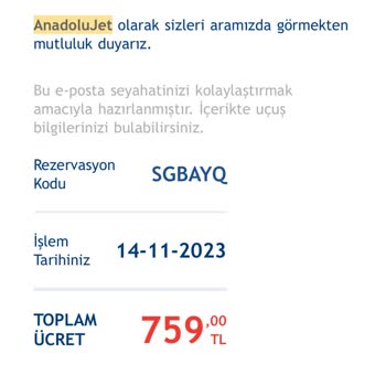 Anadolu Jet’in Bagaj Almayıp Mağdur Etmesi