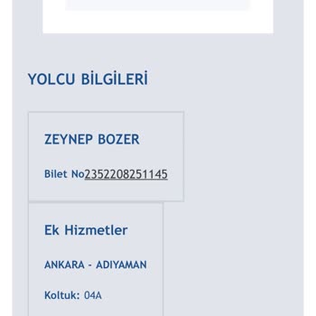 Anadolu Jet’in Bagaj Almayıp Mağdur Etmesi