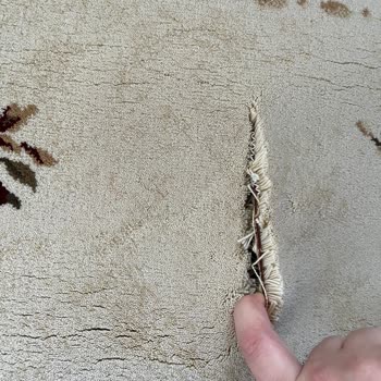 Bursa Soylu Halı Yıkama Halının Kesik Gelmesi