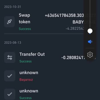 Binance Pancakeswap Paramı Yedi Swap Yaparken