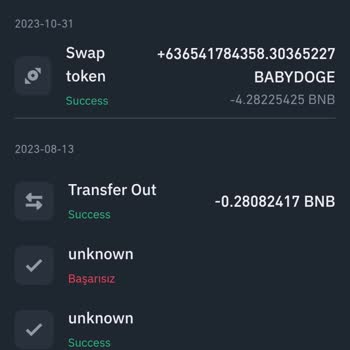 Binance Pancakeswap Paramı Yedi Swap Yaparken