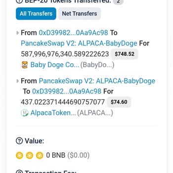 Binance Pancakeswap Paramı Yedi Swap Yaparken