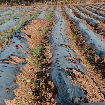 Globbe Ambalaj Hatalı ve Bozuk Ürün
