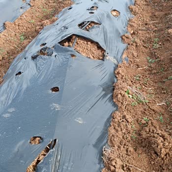 Globbe Ambalaj Hatalı ve Bozuk Ürün