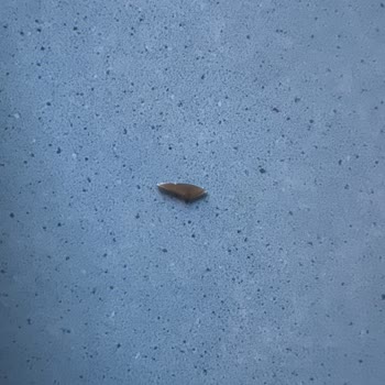 Jacobs Kahve Kavanozunun Fabrikasyon Hatası