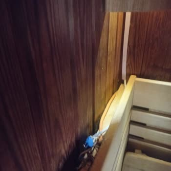Sports İnternational Sauna Da Açığa Bırakılan Elektrik Kablosu