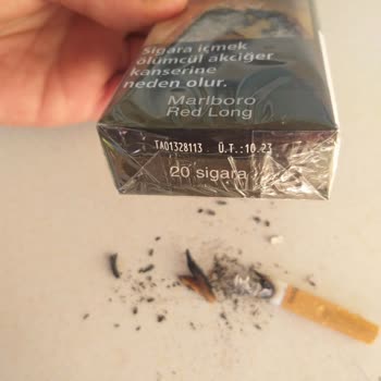 Philip Morris Sigaraların İçinden Odun Parçaları Çıkıyor
