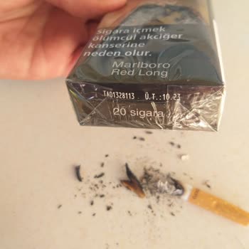 Philip Morris Sigaraların İçinden Odun Parçaları Çıkıyor