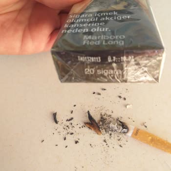 Philip Morris Sigaraların İçinden Odun Parçaları Çıkıyor