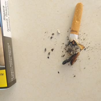 Philip Morris Sigaraların İçinden Odun Parçaları Çıkıyor