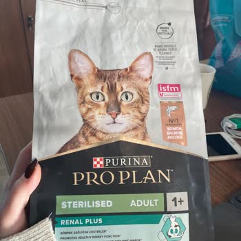 Purina Pro Plan Mama Kedimi Hasta Etti