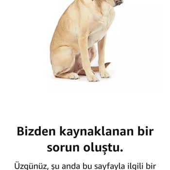 Amazon Hesabıma Erişim Sağlayamıyorum
