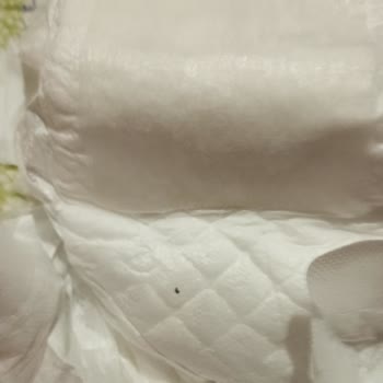 Goon Bebek Bezi Bebek Bezindeki Şüpheli Madde