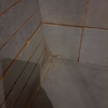 Golden Palas Hotel Temizlik Çok Kötü