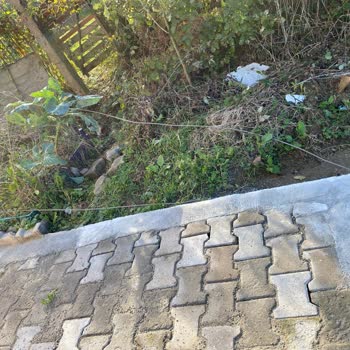 Başkent Elektrik Dağıtım 4 Gündür Süren Elektrik Kesintisi Sıkıntısı!