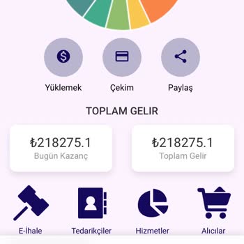 İntengo Yatırım Sürecinde Yaşanan Sorunlar