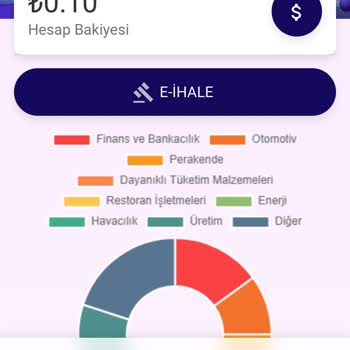 İntengo Yatırım Sürecinde Yaşanan Sorunlar