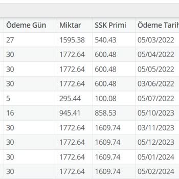 İŞKUR Yıl Olmuş 2023 İşsizlik Ödeneğinden Aldığım Komik Rakamlar