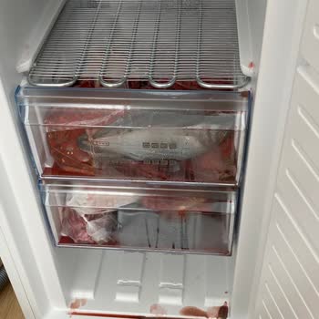 Bosch Marka Derin Dondurucu Arıza