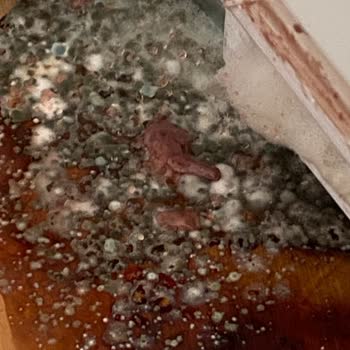 Bosch Marka Derin Dondurucu Arıza