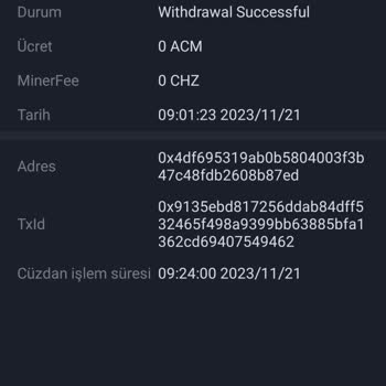 Chiliz Kripto Çekim İşlemi Ulaşmadı