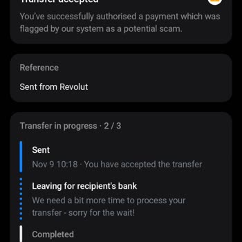 Revolut Para Transferinde Gecikme Sorunu