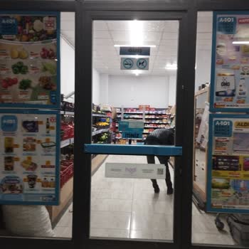 A101 Mersin Portakal Şubesi Bozuk Birşah Marka Süt