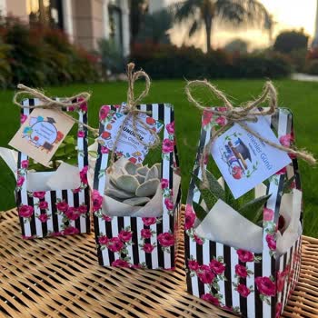 Florya Sukulent Sayfası Müşteri Mağduriyeti!