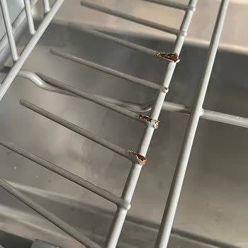 Teka Hala Çözüm Bulamadı