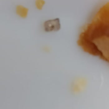 Şok Marketler Marketten Alınan Börekten Çıkan Şaşırtıcı Madde