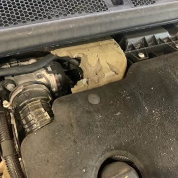 Peugeot 2008 Kaput İzolatörü Düşük Kaliteli. Kemirgen Hasarı