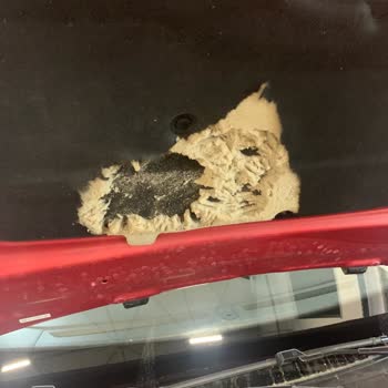 Peugeot 2008 Kaput İzolatörü Düşük Kaliteli. Kemirgen Hasarı