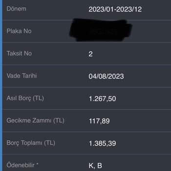 E-Devlet (Turkiye.gov.tr) Üzeri MTV Ödeme Sorunu