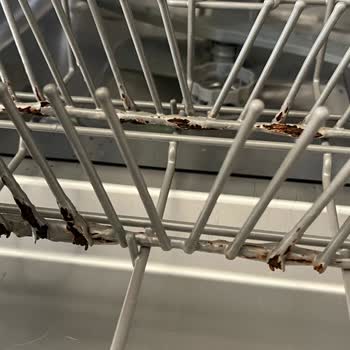 Teka Marka Bulaşık Makinesinin Sepetlerinin Paslanıp Çürümesi