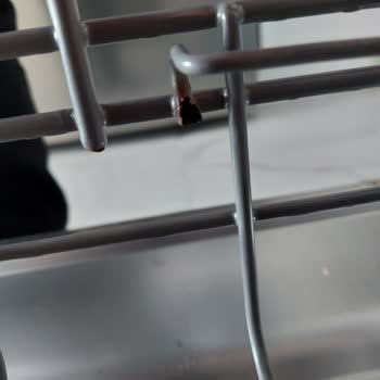 Teka Dw 605 S Bulaşık Makinesi Pis Çıkarıyor Ve Paslı Çürüyen Sepetler