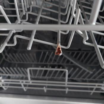 Teka Dw 605 S Bulaşık Makinesi Pis Çıkarıyor Ve Paslı Çürüyen Sepetler