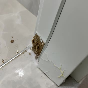 Özdoor Kapı Parke (Güngören) Kapı Sorunları ve Müşteri Mağduriyeti