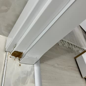 Özdoor Kapı Parke (Güngören) Kapı Sorunları ve Müşteri Mağduriyeti