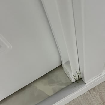 Özdoor Kapı Parke (Güngören) Kapı Sorunları ve Müşteri Mağduriyeti